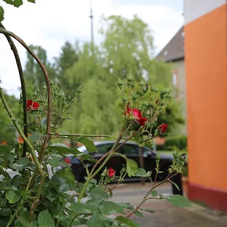 Hotel Gasthof 2*